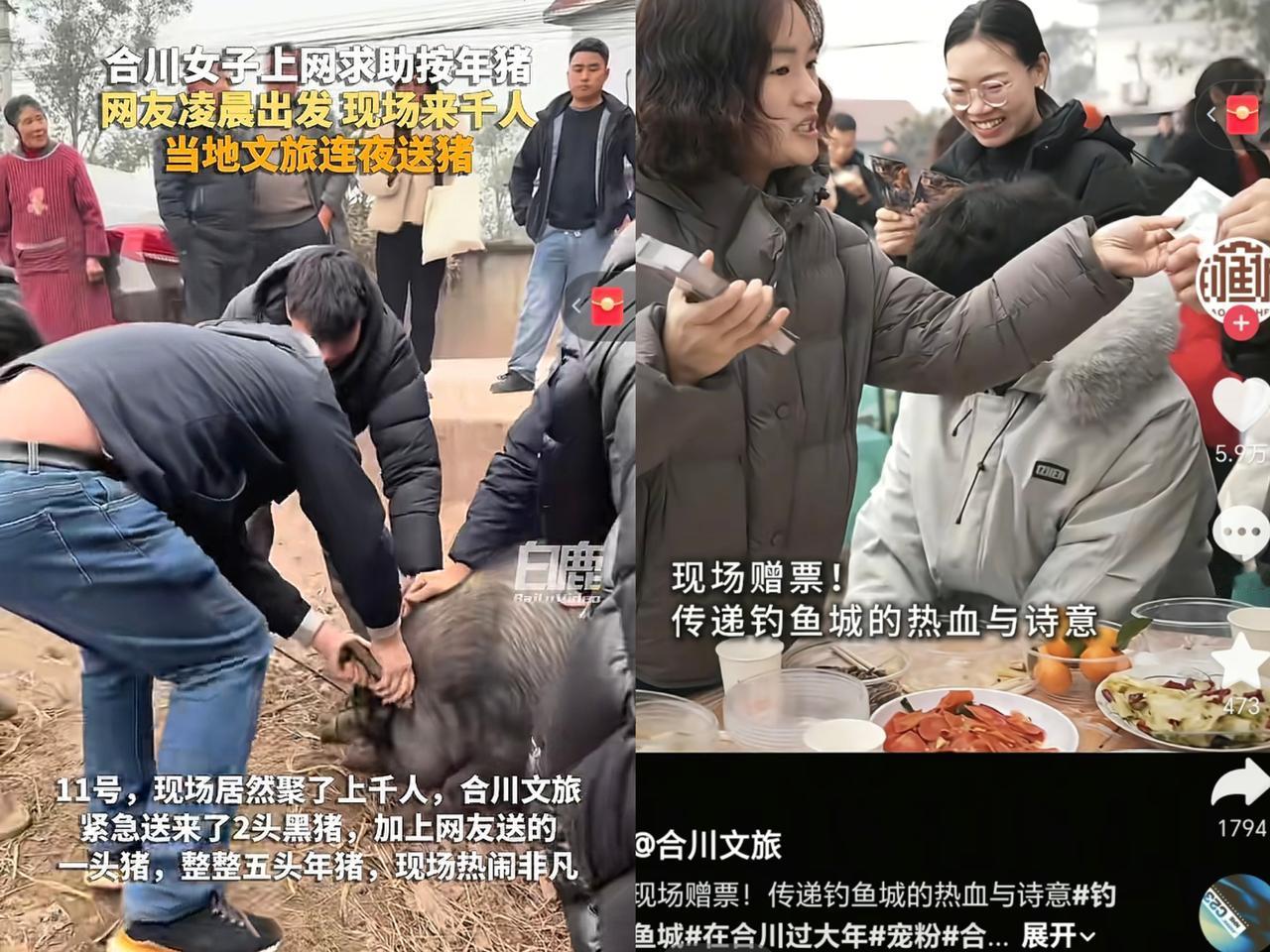 合川文旅这反应，太敏锐了！

凌晨两点多就摸黑上门了！
这可不是普通的帮忙，分明