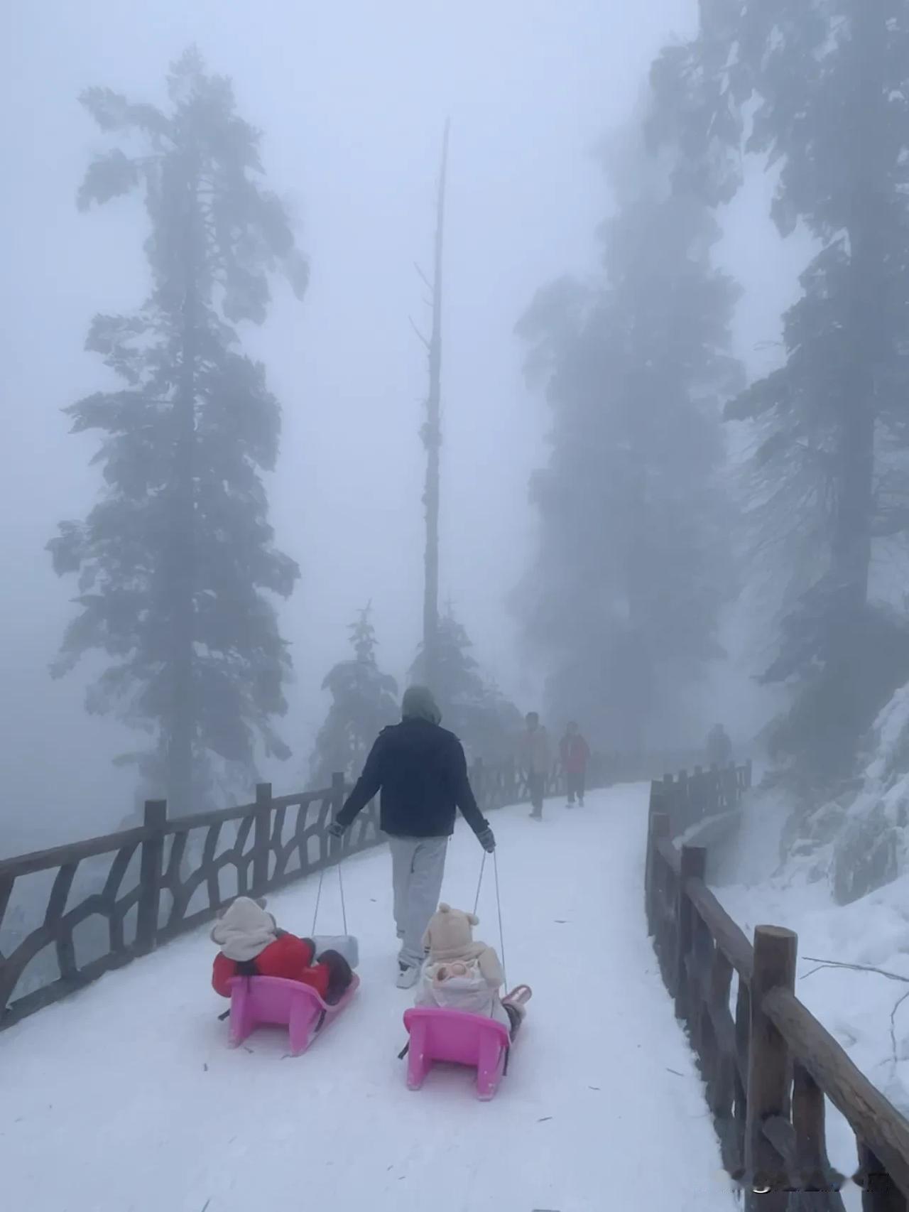 【邂逅瓦屋山，赏纯净冬韵】踏上银装素裹的瓦屋山，让飘落的雪花轻吻你的脸颊。在这如