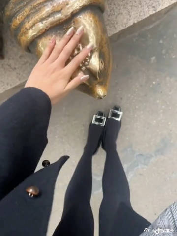 摸一下乌龟的寓意是什么？ 