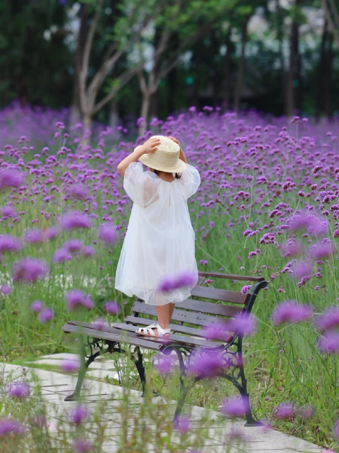 成都遛娃✅｜偶遇市区大片马鞭草花海，超梦幻~
