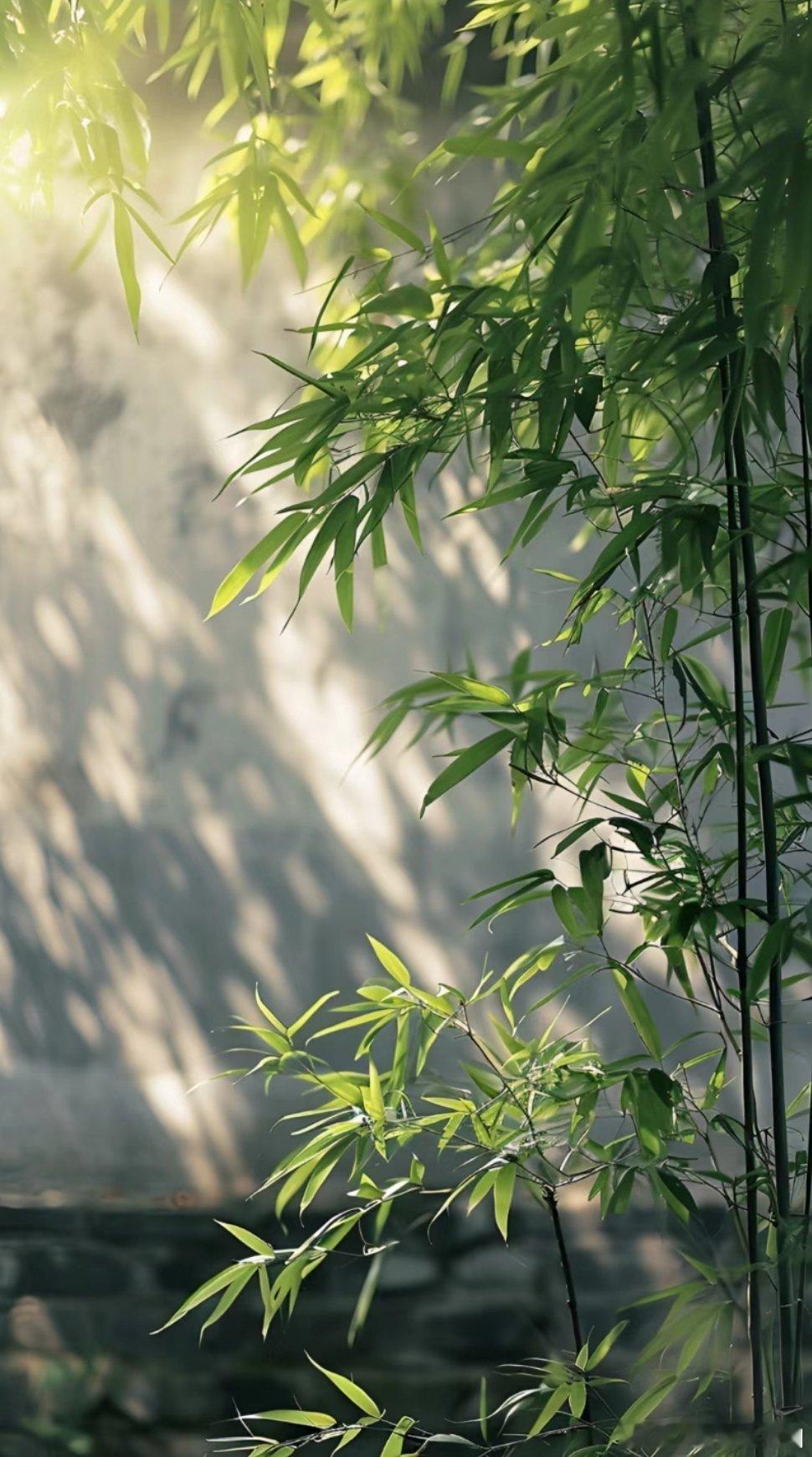 流通性好的八字确实长相气质在高一个level，比如火土，又强悍又倔强又柔，水木，