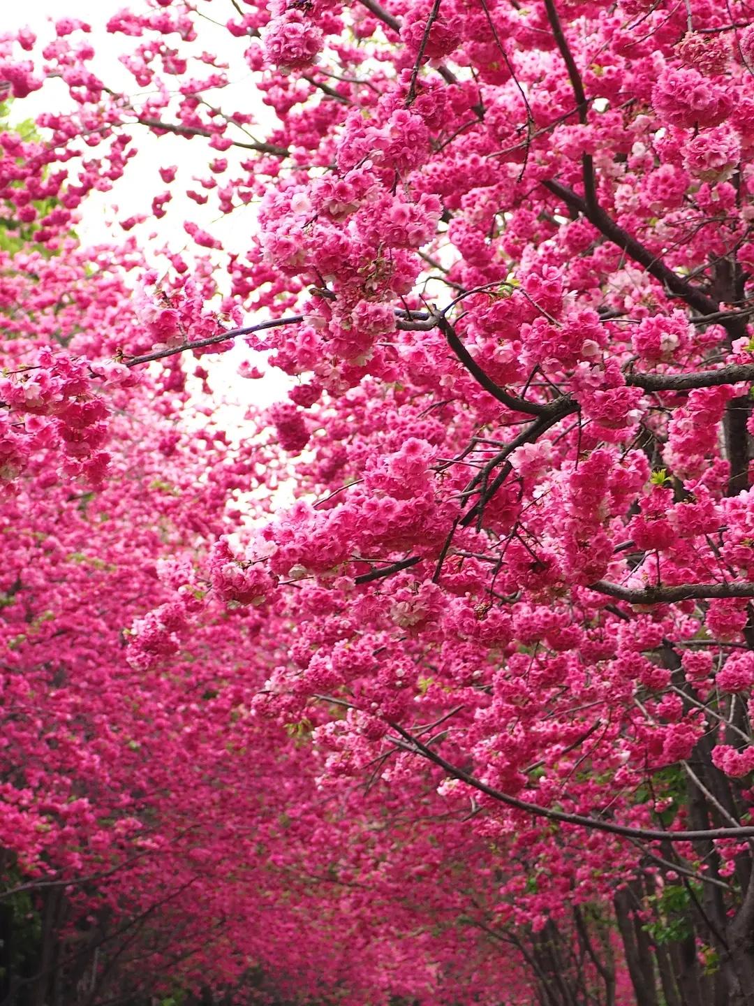 千万记住，有十件事不要炫耀：

一、涨了工资不要炫耀。
二、孩子考上名校不要炫耀