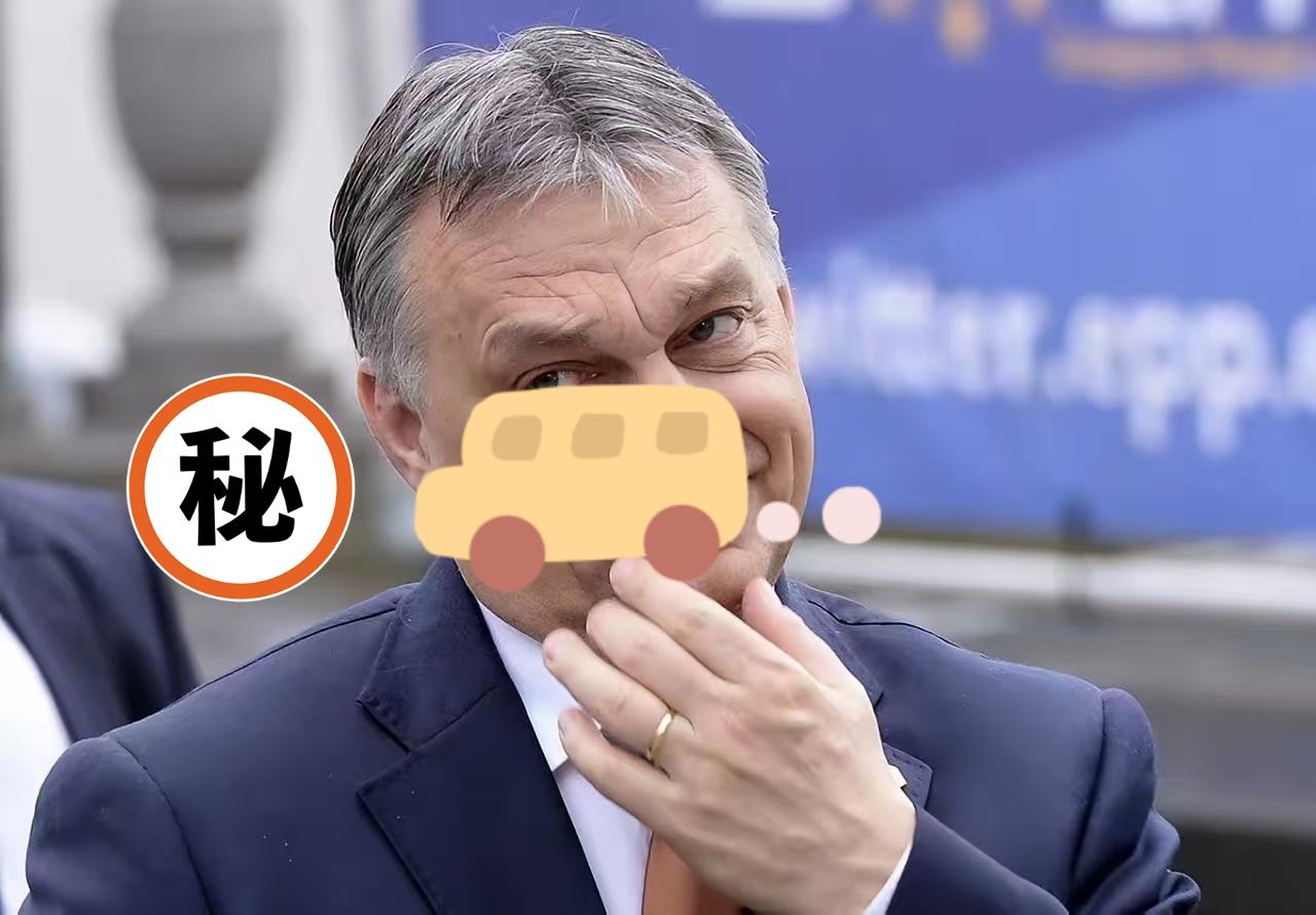 冯德莱恩估计脸都绿了！欧尔班13日高票连任执政党“青年民主党”主席，尽管失去总理