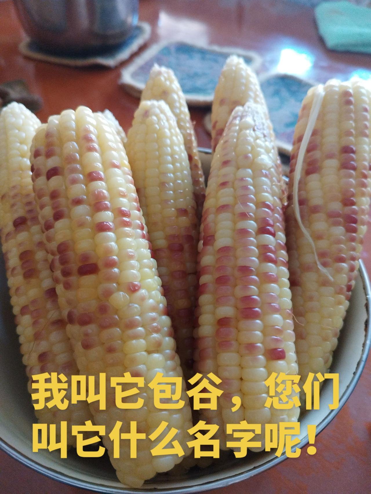 吃货的世界唯有美食不可辜负