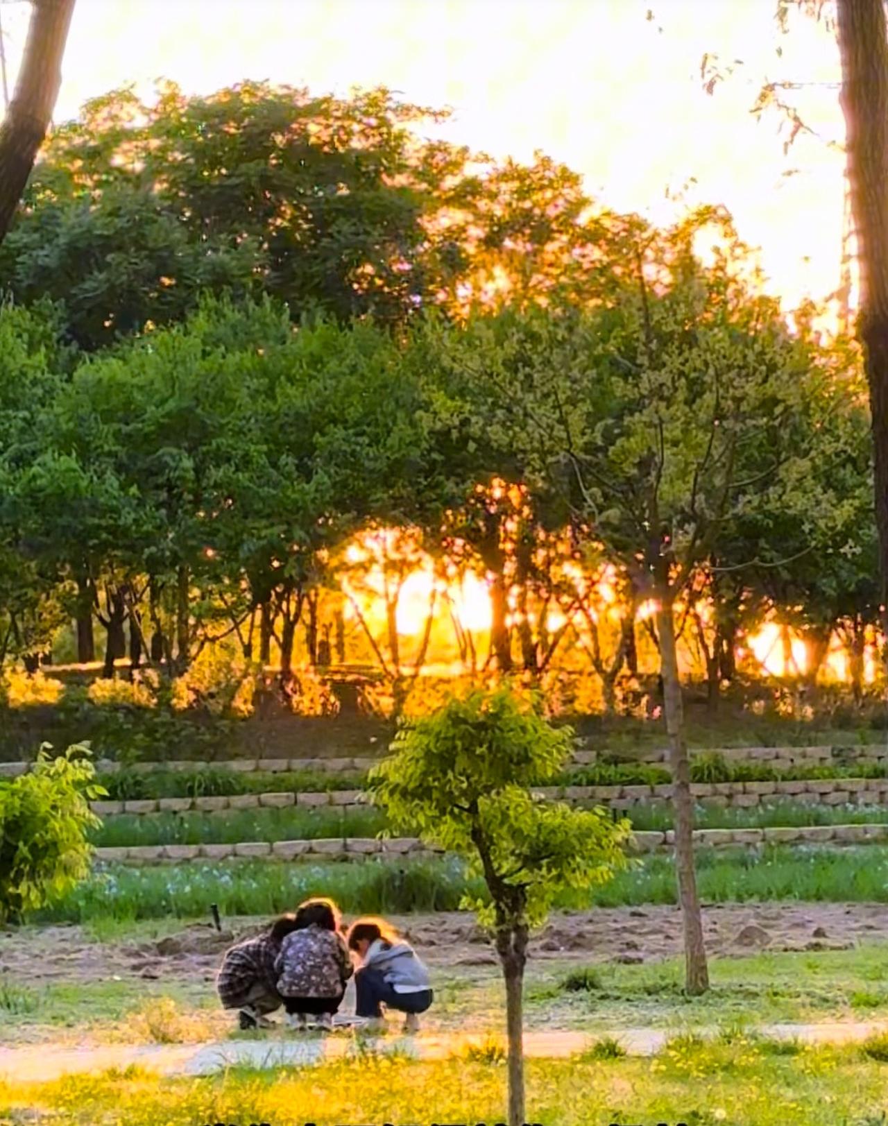 观点创作激励赛人间清欢，从不在远山盛景，而在黄昏暮色里，知己相伴。