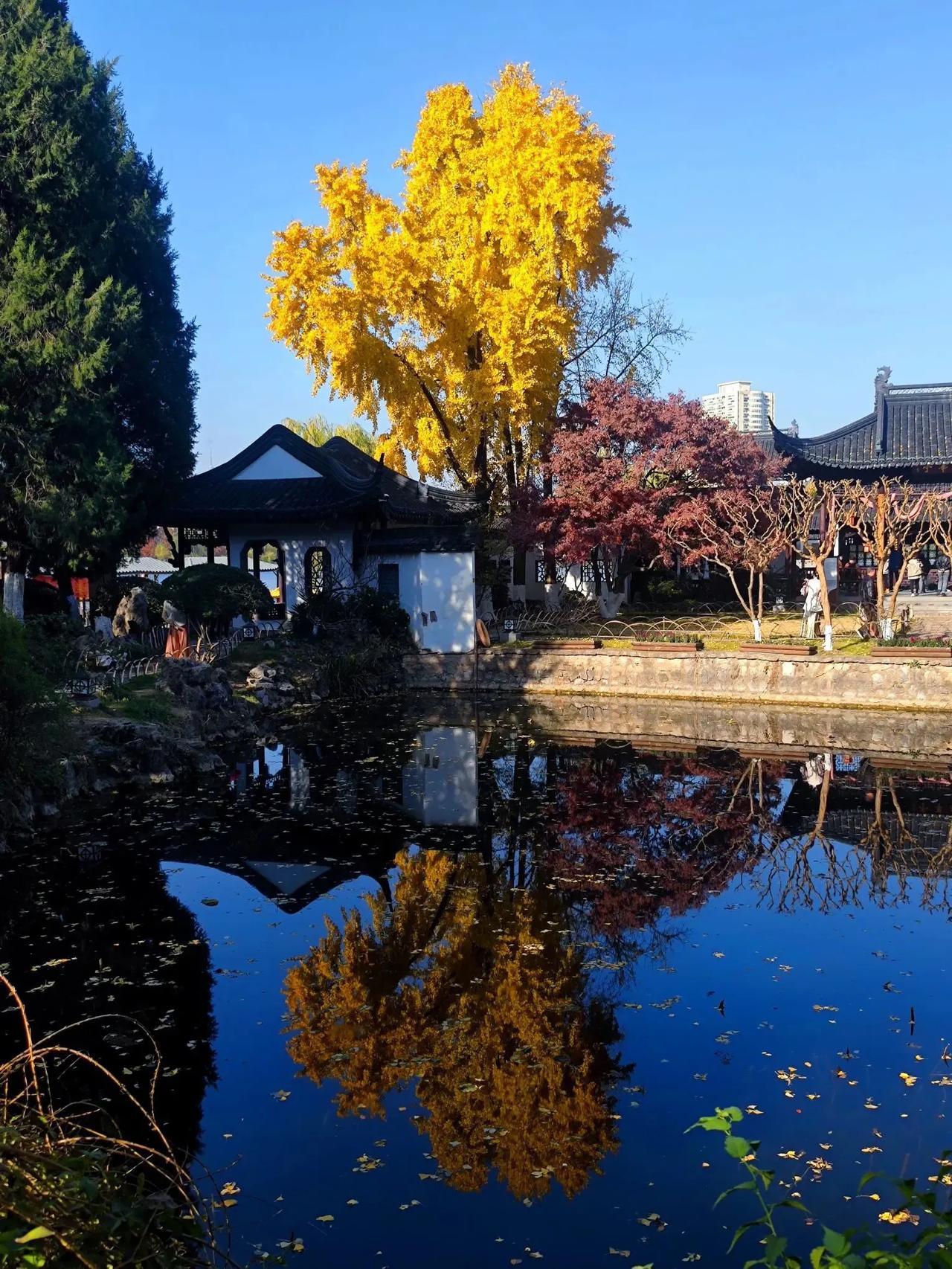 初冬的金陵，怎么能不爱！

静谧而美好，心旷神怡，喜欢这颜色，不一样的天空。

