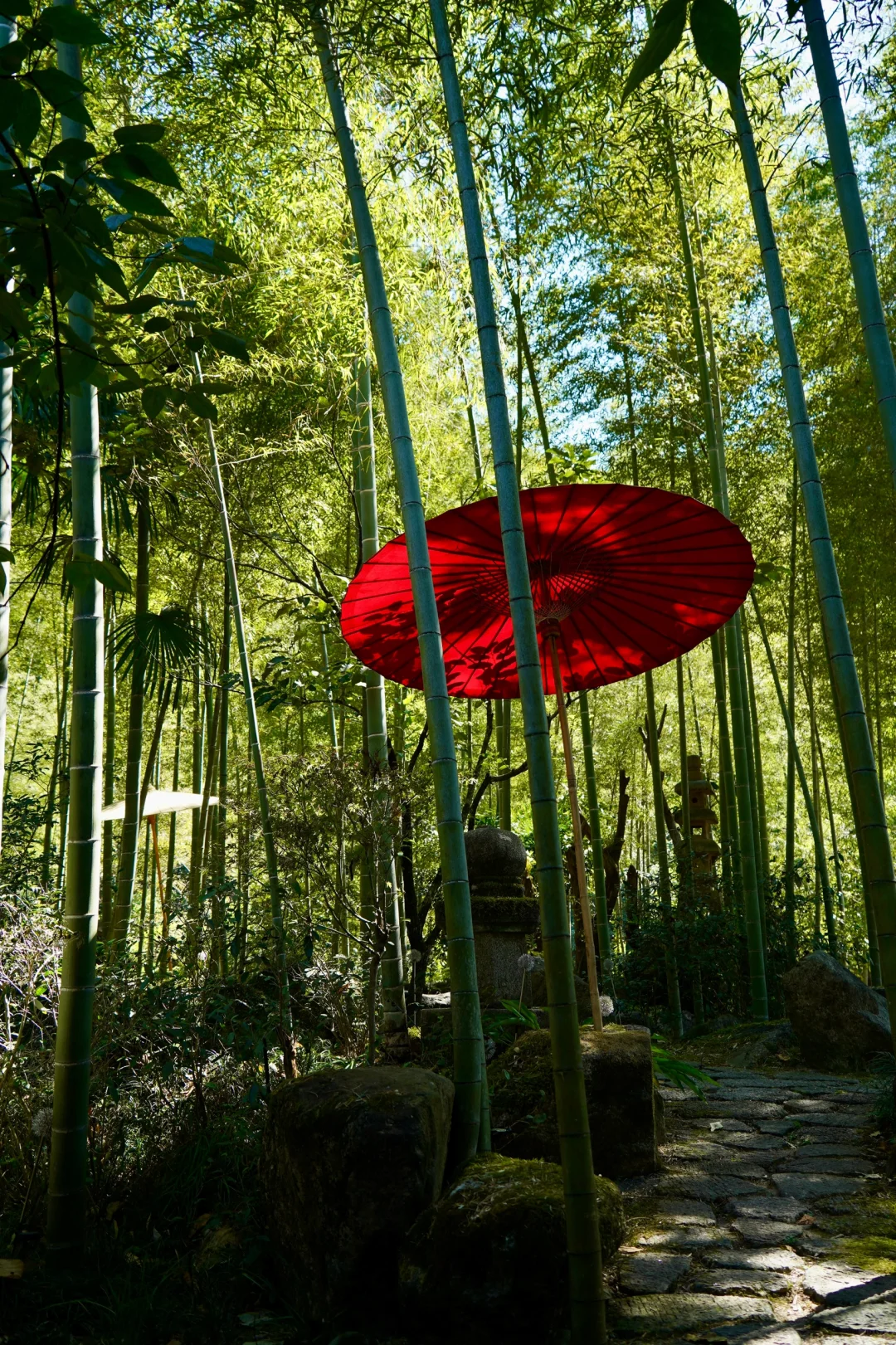 ⛰️栖居山野的一些吉光片羽