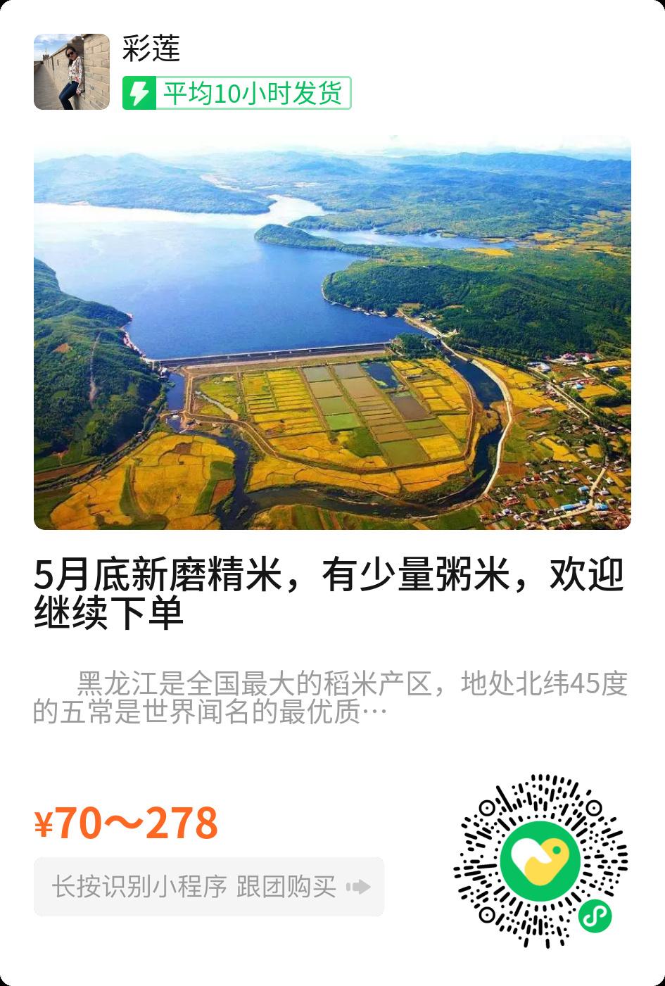 五常龙凤山乡，教授田里的一碗好米
不是每一粒五常大米，都经得起实验室的显微镜。