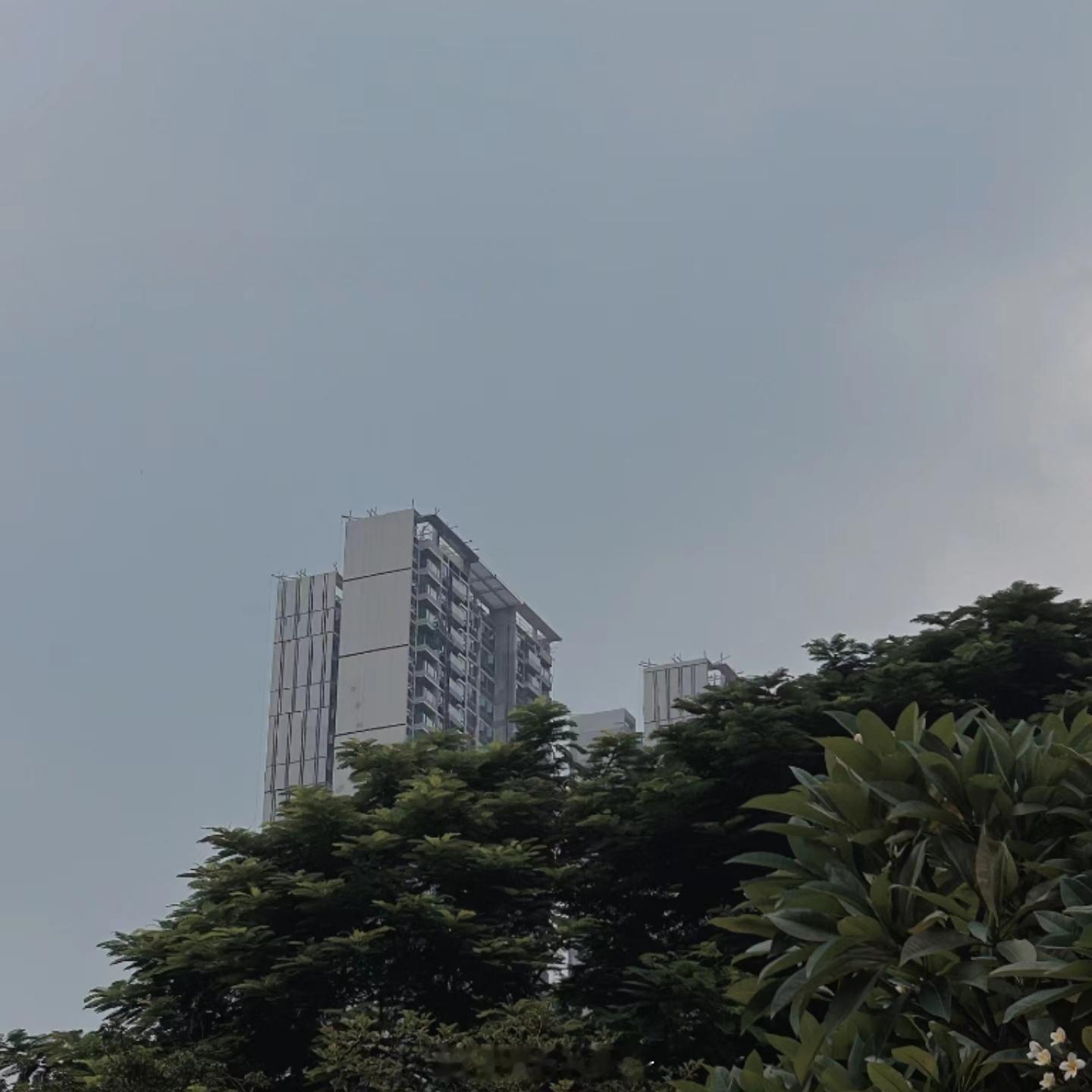既然去不了诗和远方那就在附近 散散步 吹吹风 拍拍照生活依然很美好❤️ ​​​