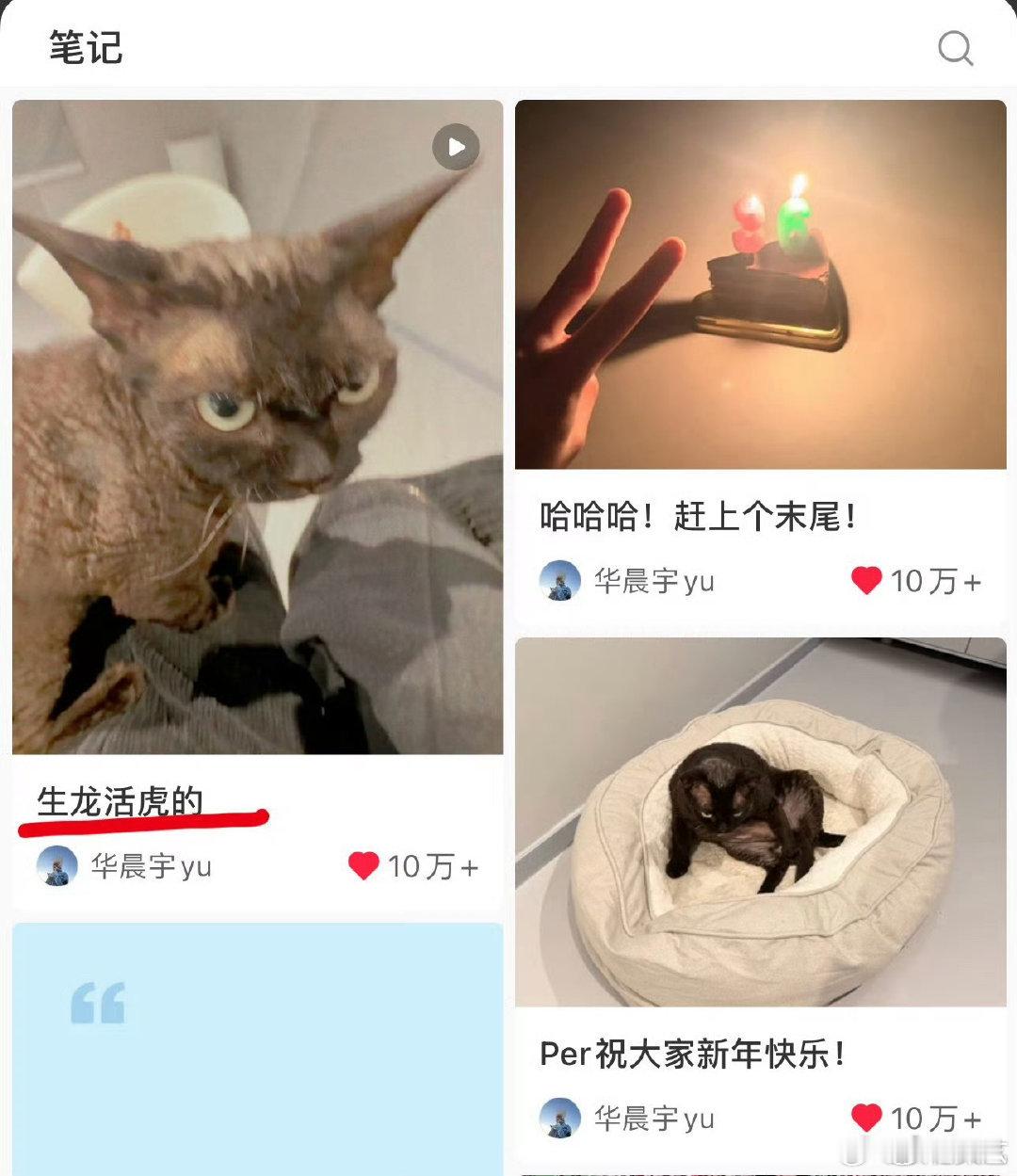 华晨宇养猫多年华晨宇养了好多年猫 华晨宇养了好多年猫，这应该都知道吧 华晨宇喂猫