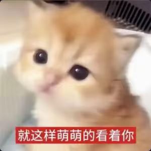 养猫养狗这些太低级了 我闭上眼就可以养神了 