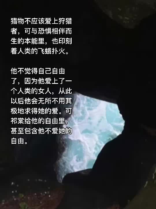 真心游戏by原今   1v1sc | he | 现言都市 | 灵异微恐...