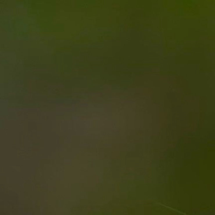 早安🐿️盛夏热浪漫漫，愿寻得一隅清凉，心绪安然，诸事无忧。早安心语