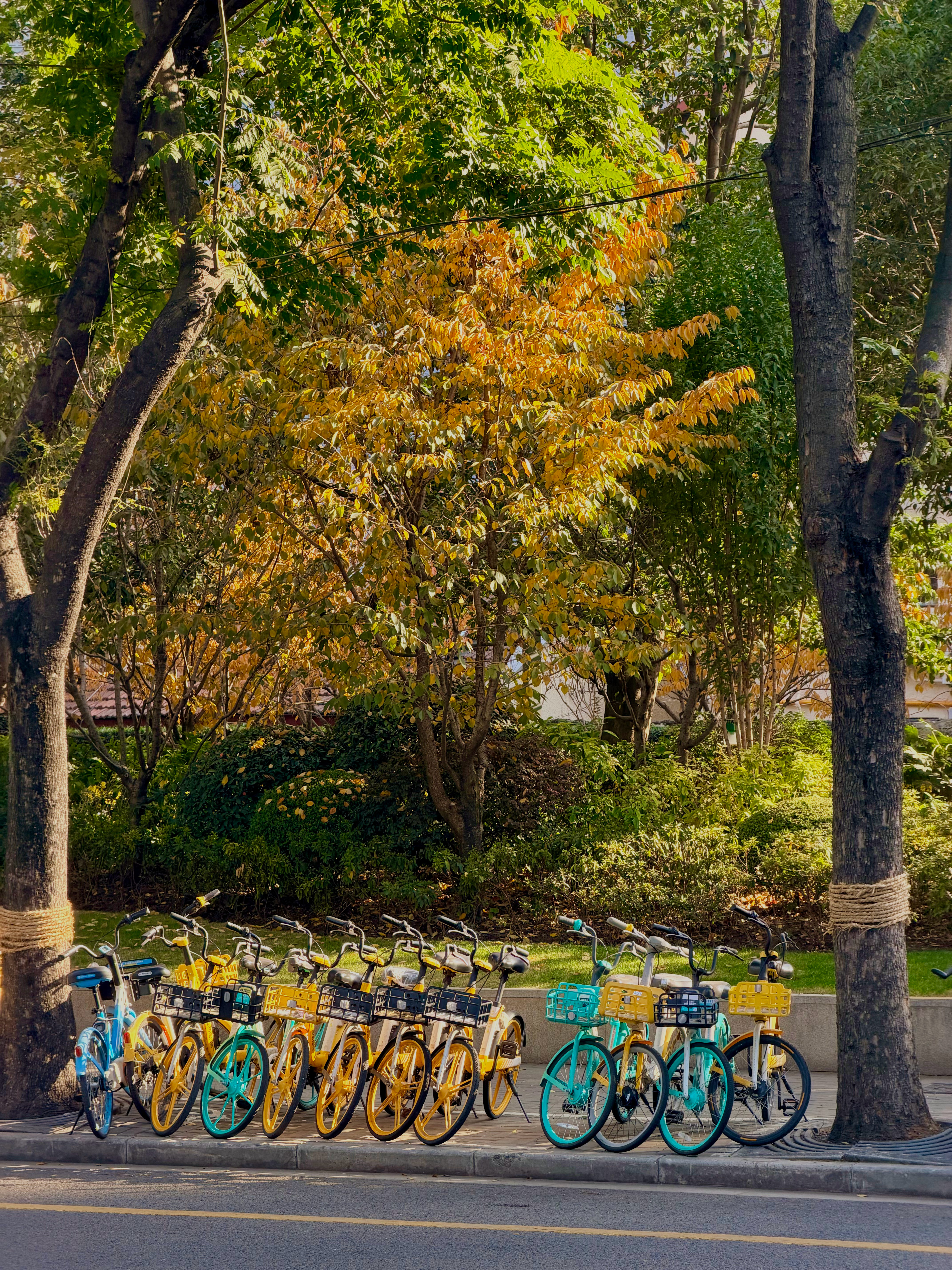 深秋🍂又是煎饼日姐姐的画好可爱 