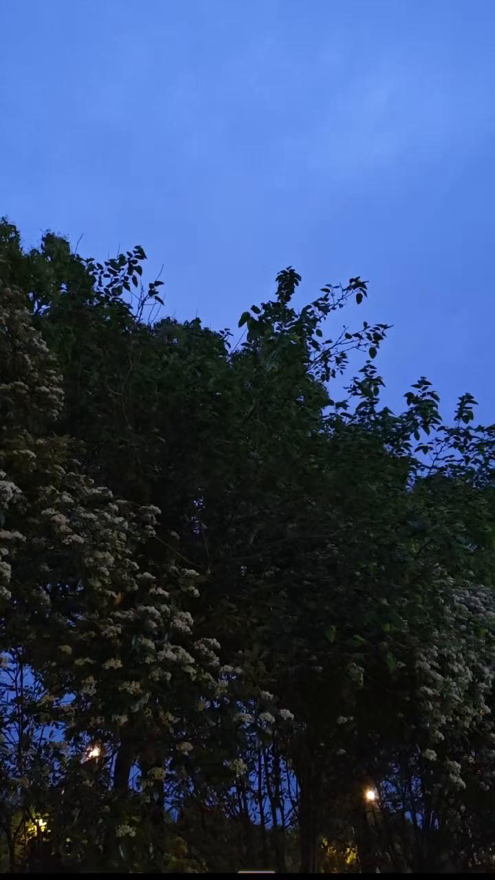 你读过最狂的诗句是什么？
少年应有鸿鹄志，当骑骏马踏平川。
纵有狂风平地起，我欲