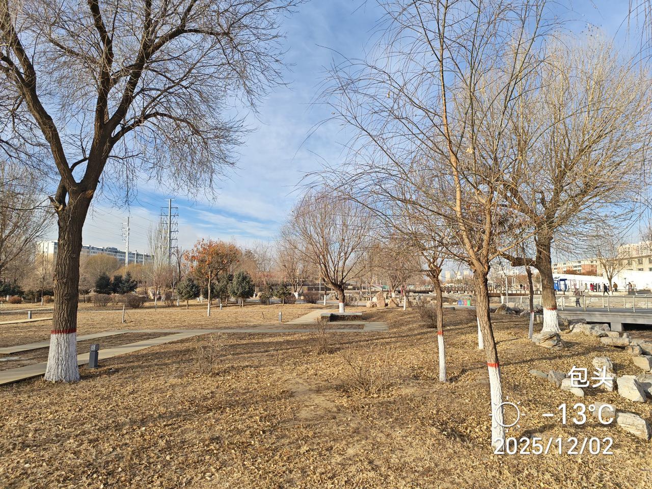 公园：寒风落叶皆已尽，枯草乱影鹿无踪！