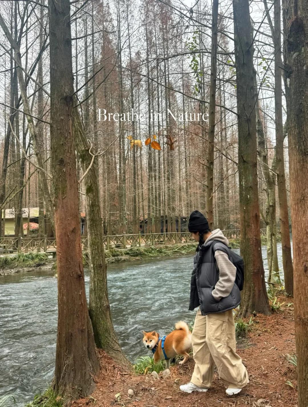 成都周边/小狗喜欢的，那一定是好地方！
📍朱家湾 （成都出发1h）
人少，景好