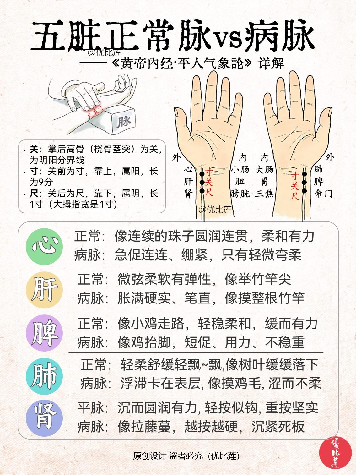 读懂《黄帝内经》五脏正常脉 vs 病脉

五脏对应的脉位置是不同的，
心：左寸