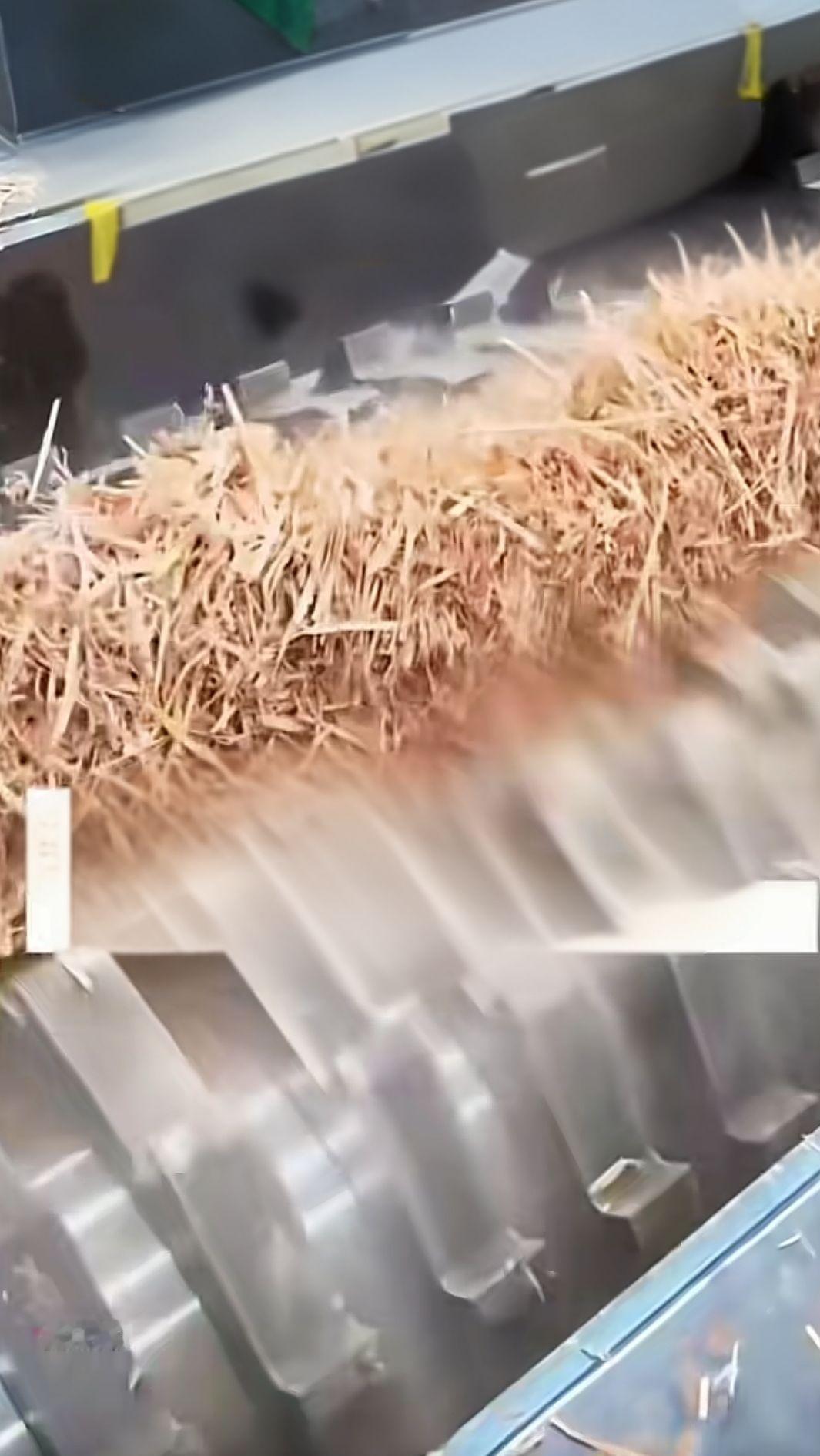 亲眼目睹儿子坠入粉碎机身亡！
悲痛至极！
11月20日，安徽一名男子维修草场粉碎