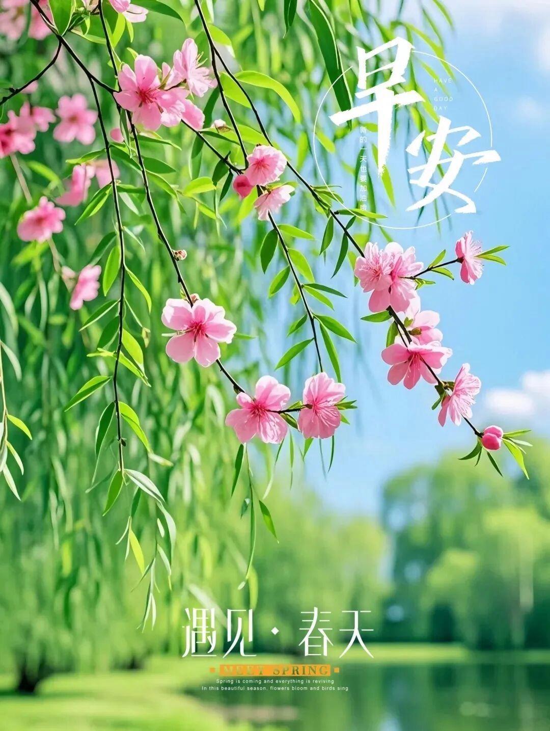 春信
 
春风传信踏晨来，
陌上繁花次第开。
嫩蕊新芽含晓露，
心头常喜乐盈怀。