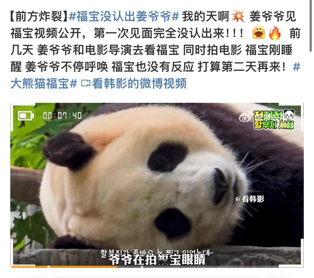 妈耶m福宝都快吓死了吧， 万一应了又得回韩国小地方没得玩没得吃。 ​​​