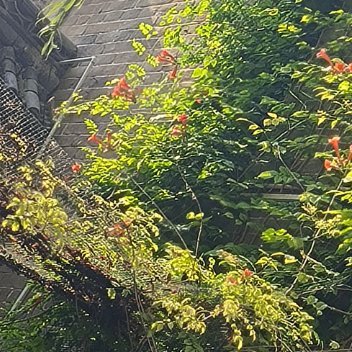每日一善每日一善 阳光信用 无论坦途，还是坎坷，无论鲜花，还是荆棘，拥有一份淡然