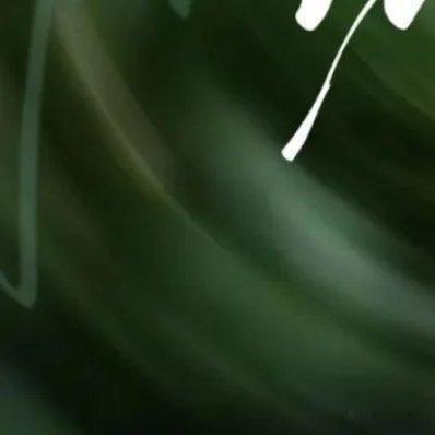 《梦游》那就赐我一场梦游瞒着你，瞒着我瞒着不知名的黑手制造属于你的温柔我摘下十朵