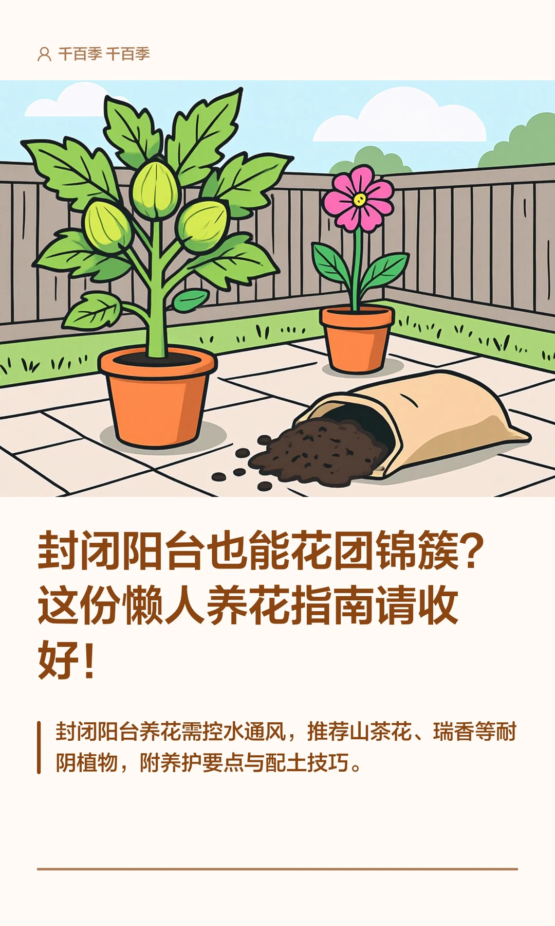 封闭阳台也能花团锦簇？这份懒人指南请收好