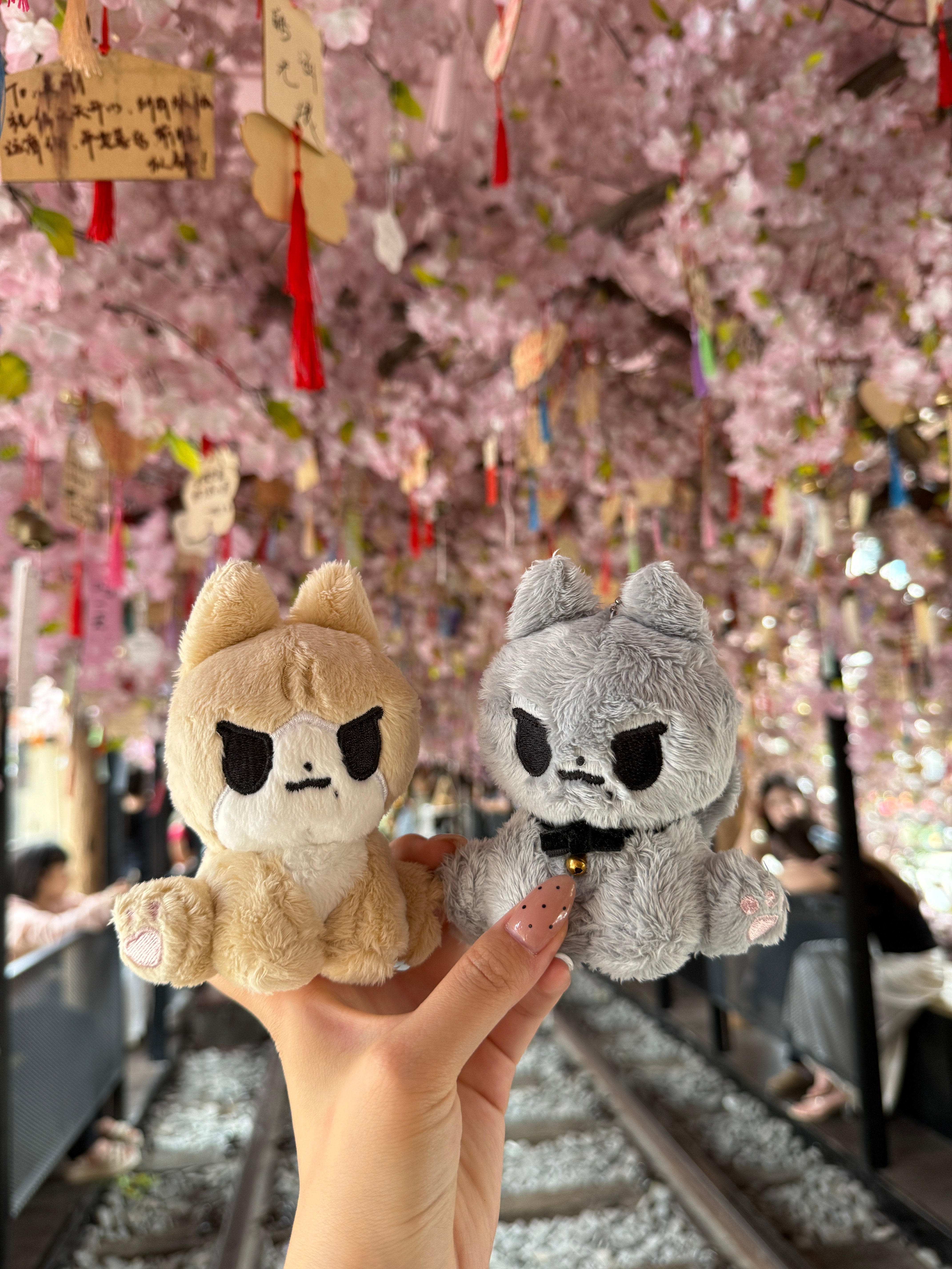 因为唇下痣爱上湖北