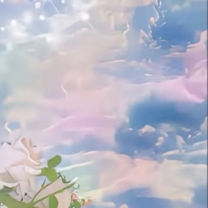 阳光信用 每一分自信和优雅的背后，都有一份对梦想的追求和坚持，有时候，成功和失败