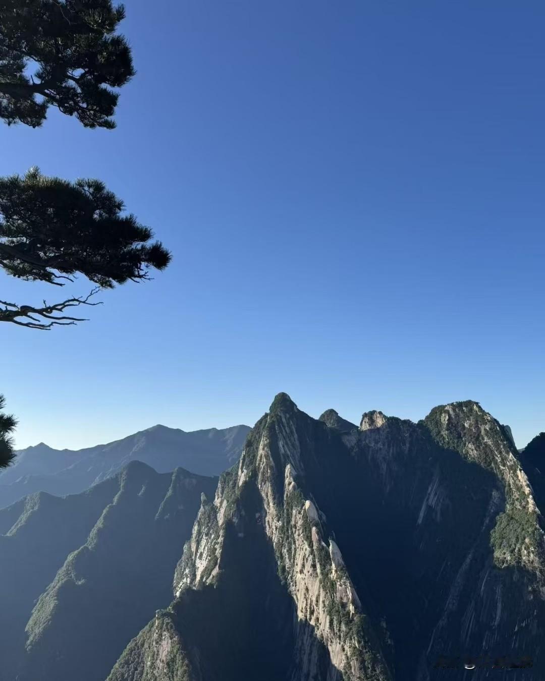 早上跟楼下阿姨聊天，她说年轻时候总为打翻的牛奶哭，觉得天塌了，现在回头看，那些当