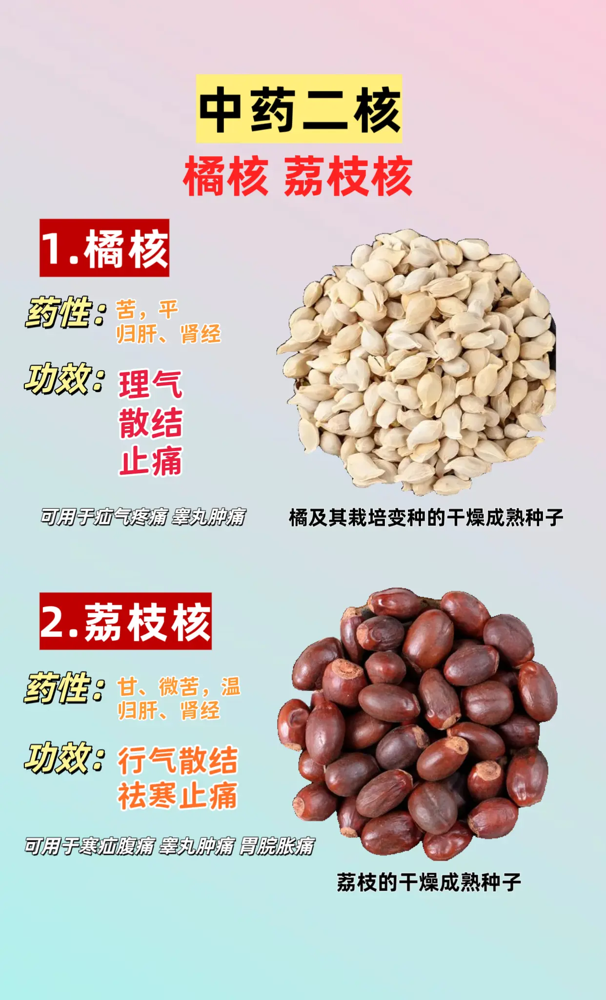 中药二核与中药二枝。橘核 荔枝核｜桑枝 桂枝