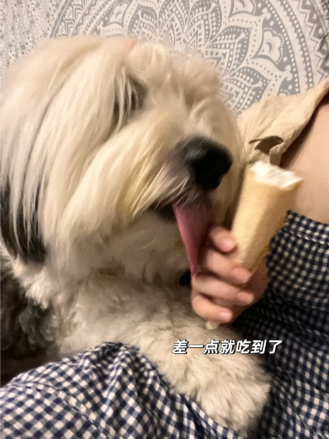 重庆需要雨神萧敬腾来将降雨🙏