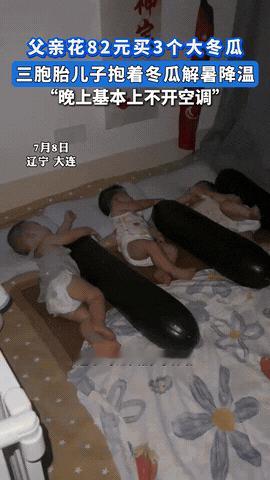 “老祖宗的智慧真管用！”辽宁一奶爸花82元买了3个大冬瓜，岂料这竟然不是用来吃的