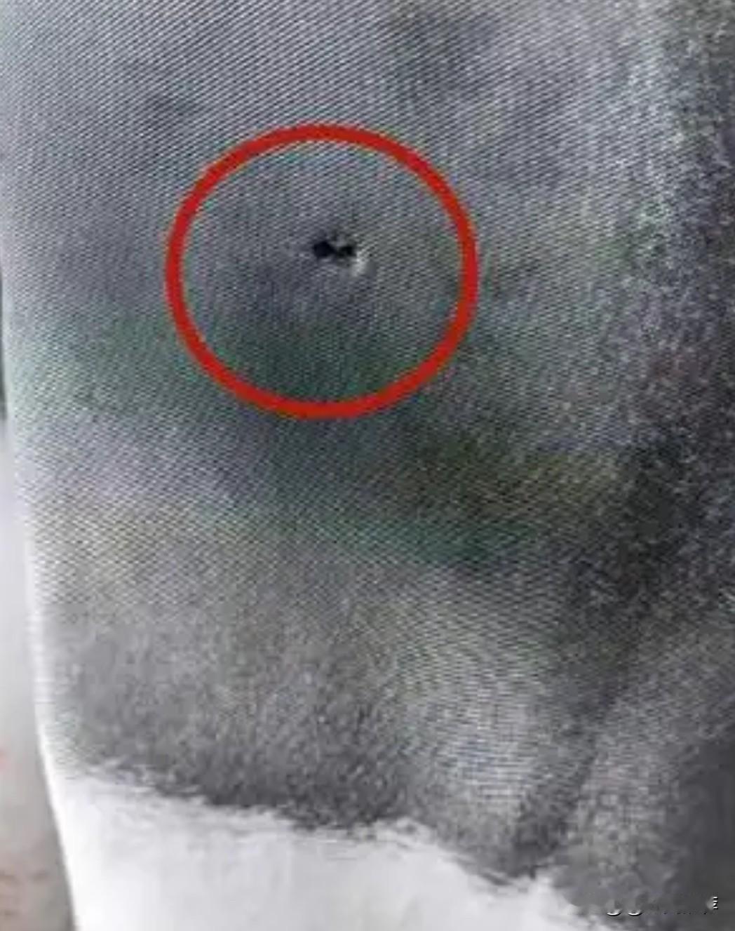 12月11日，四川省泸州市泸县一名网友在网络平台发布视频，称其丈夫在家中二楼窗边