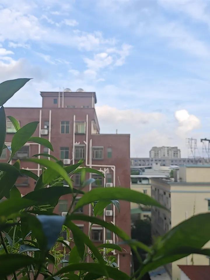 今天早上起来竟然连一丝风都没有了，也没有下雨。
天气看起来今天像是一个大晴天，天