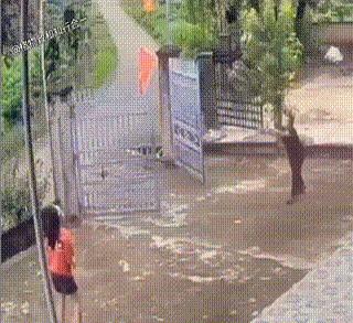 无聊到怀疑人生？
这俩姑娘一商量，冲院子打排球。
球一抛一垫，节奏马上起来，笑声