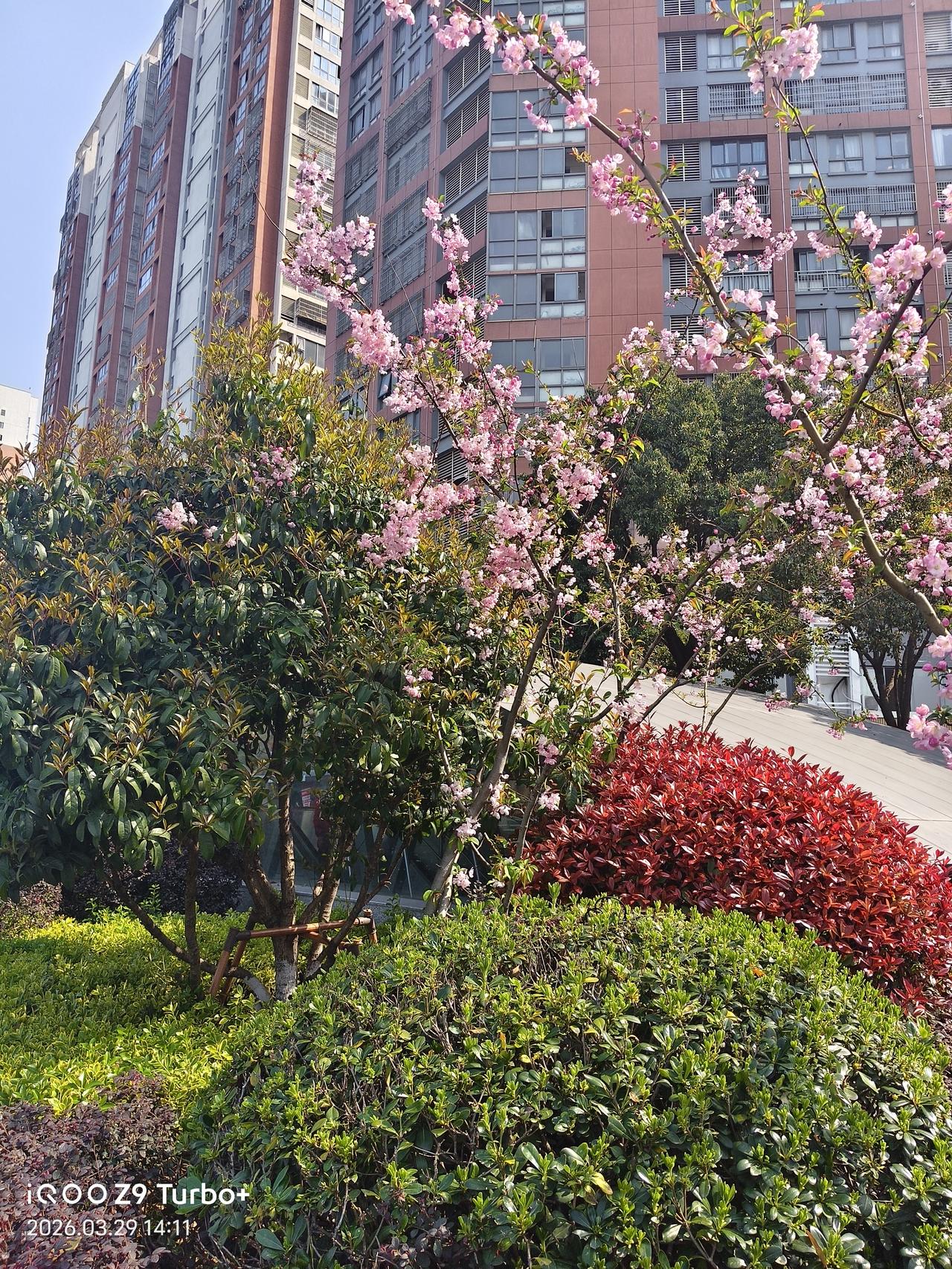 春暖花开，万物复苏，又到了适合踏青的季节！