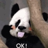张桐侃侃娱乐