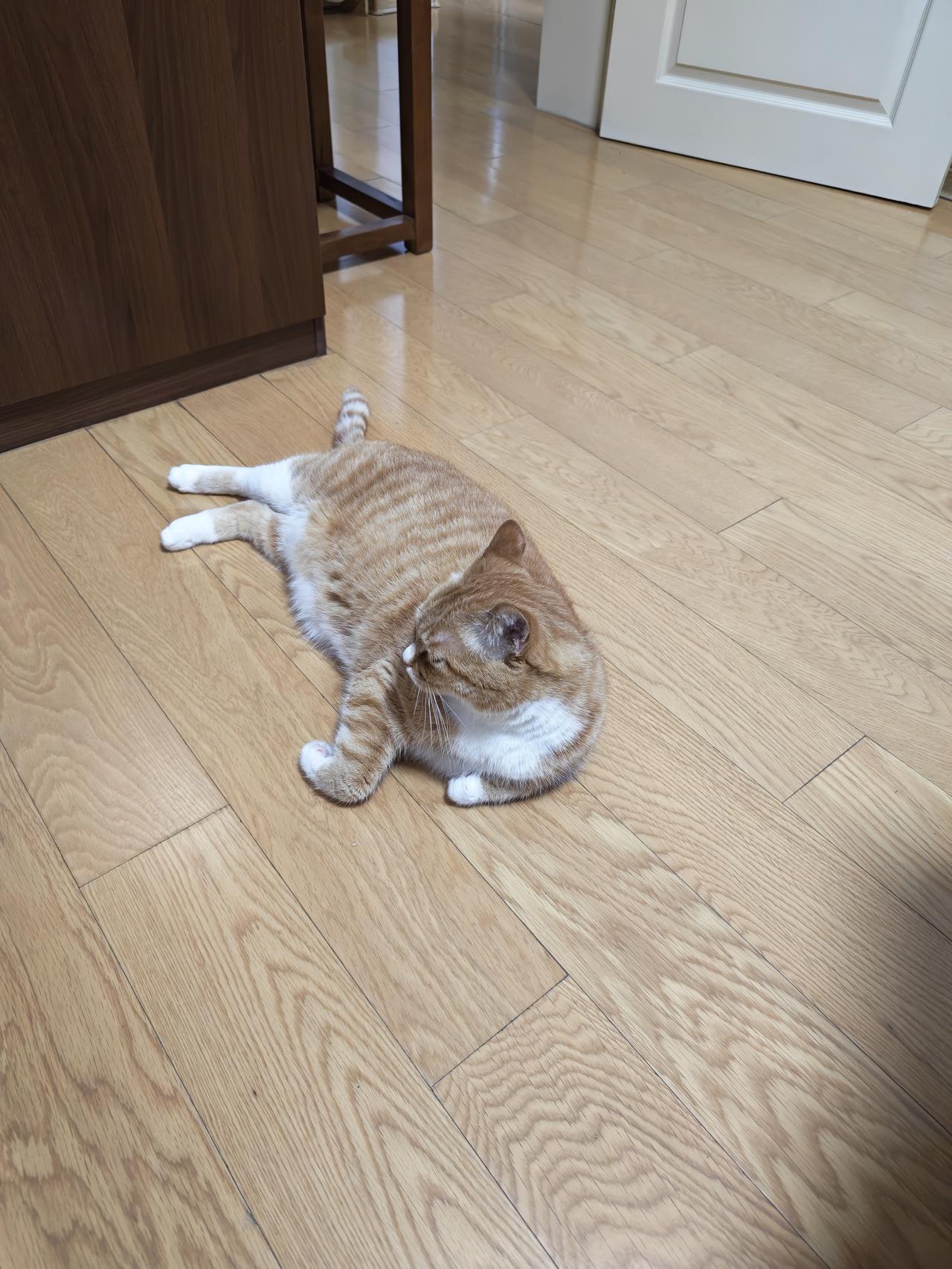 春日生活打卡季休闲