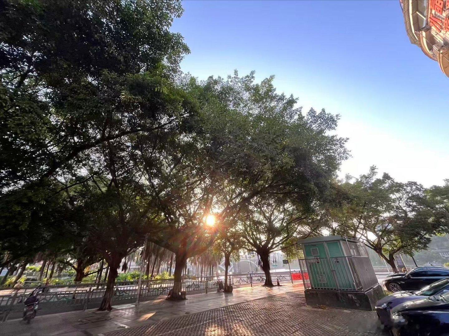 阳光信用 ①☀️极好 764，🉑蹭  ，🈲快🧱②与极好的人hu动或🧱👍