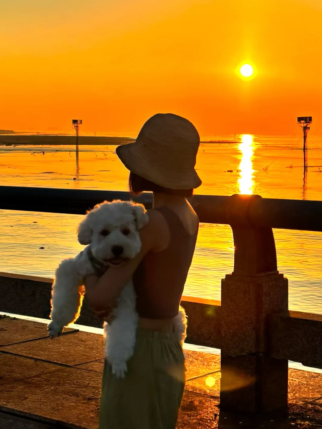 郑州出发！带小狗去日照一日游啦！