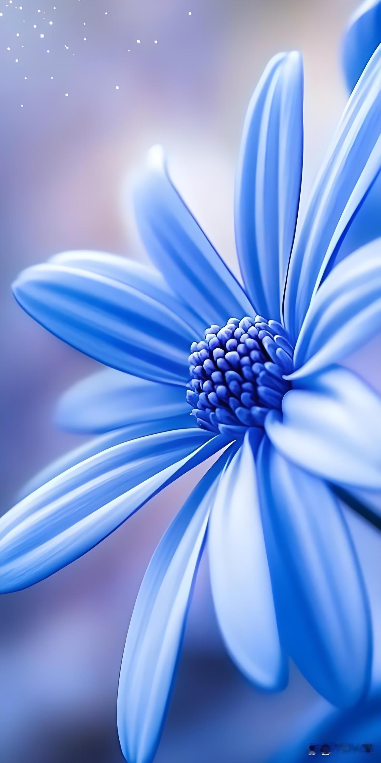 那些见面非常热情，
但只要分开，
就从来不联系你的人。
主要的原因是，
你在他心