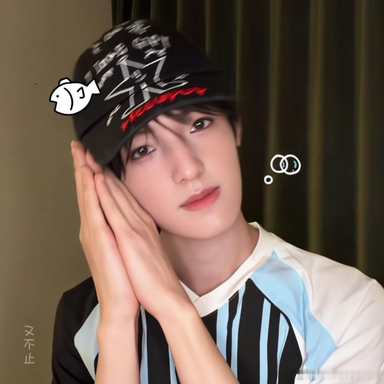 张泽禹萌宠宝典销冠萌宠宝典圈粉无数，张泽禹独特的萌系魅力格外吸睛，人气与口碑双双