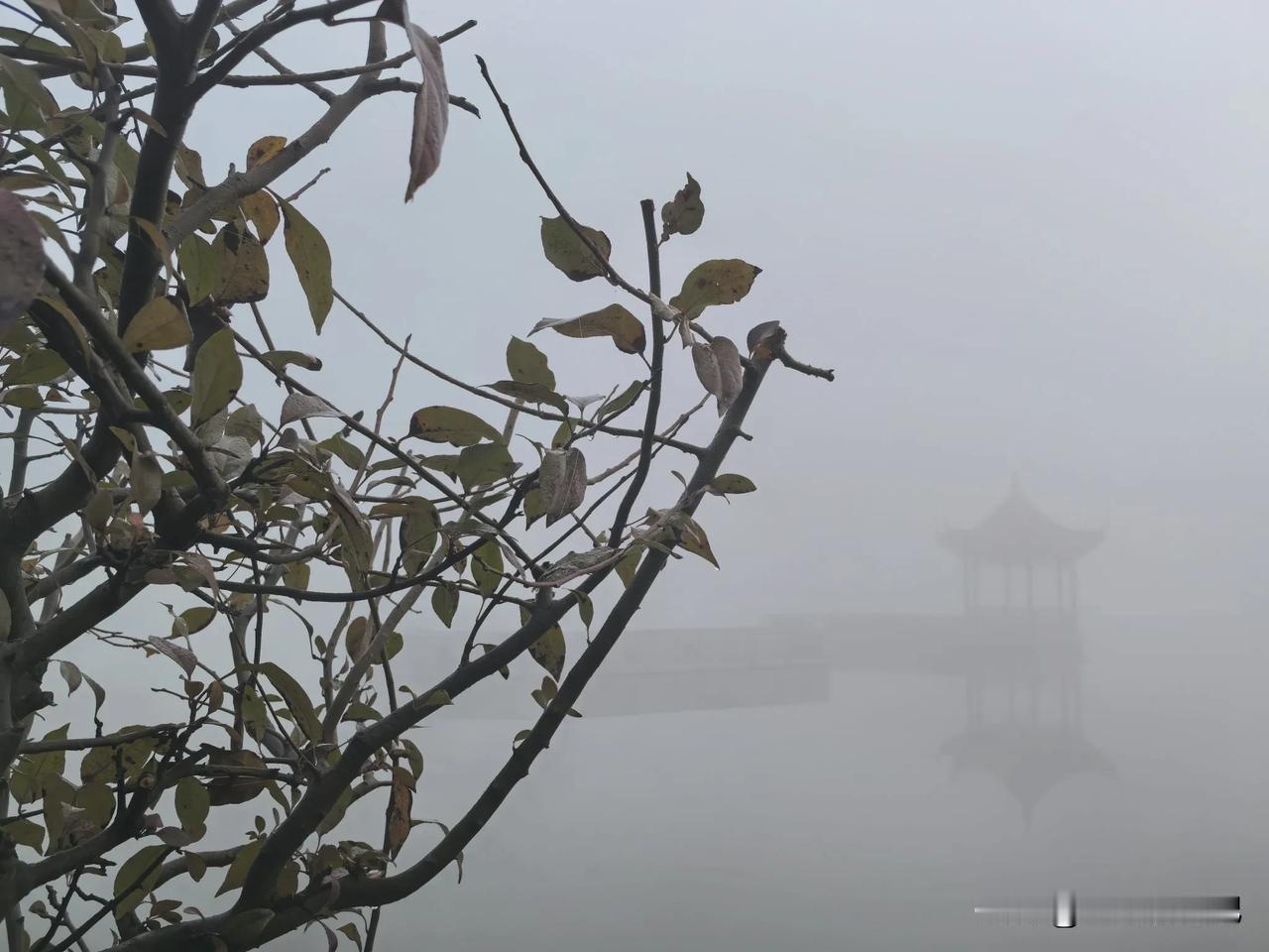 南京江北新区龙王山郊野，同一个地方的亭子。随手记录公园风景 宝哥影像备忘录