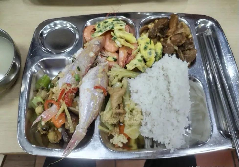 广东老板被指“小气”，网友抱怨工资低，晒出3元伙食照，我却笑死在评论区




