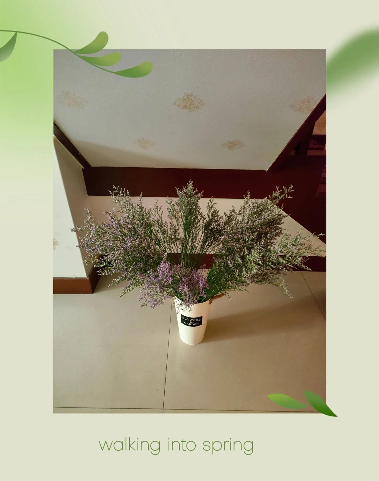 醒花成功