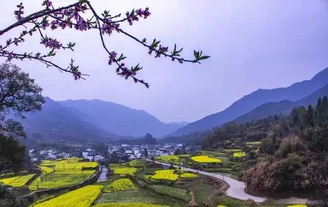 鹏城七日：折叠空间里的财富真相承蒙友人盛情邀约，我赴深圳小住七日。这座城市永不停