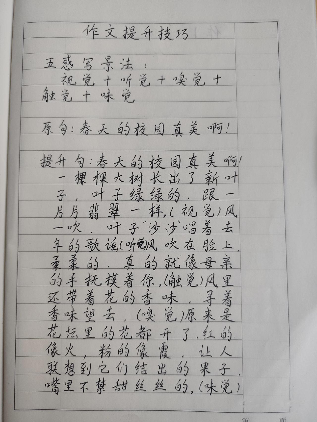 小学作文 作文 每天学习一点点 手写笔记 知识分享