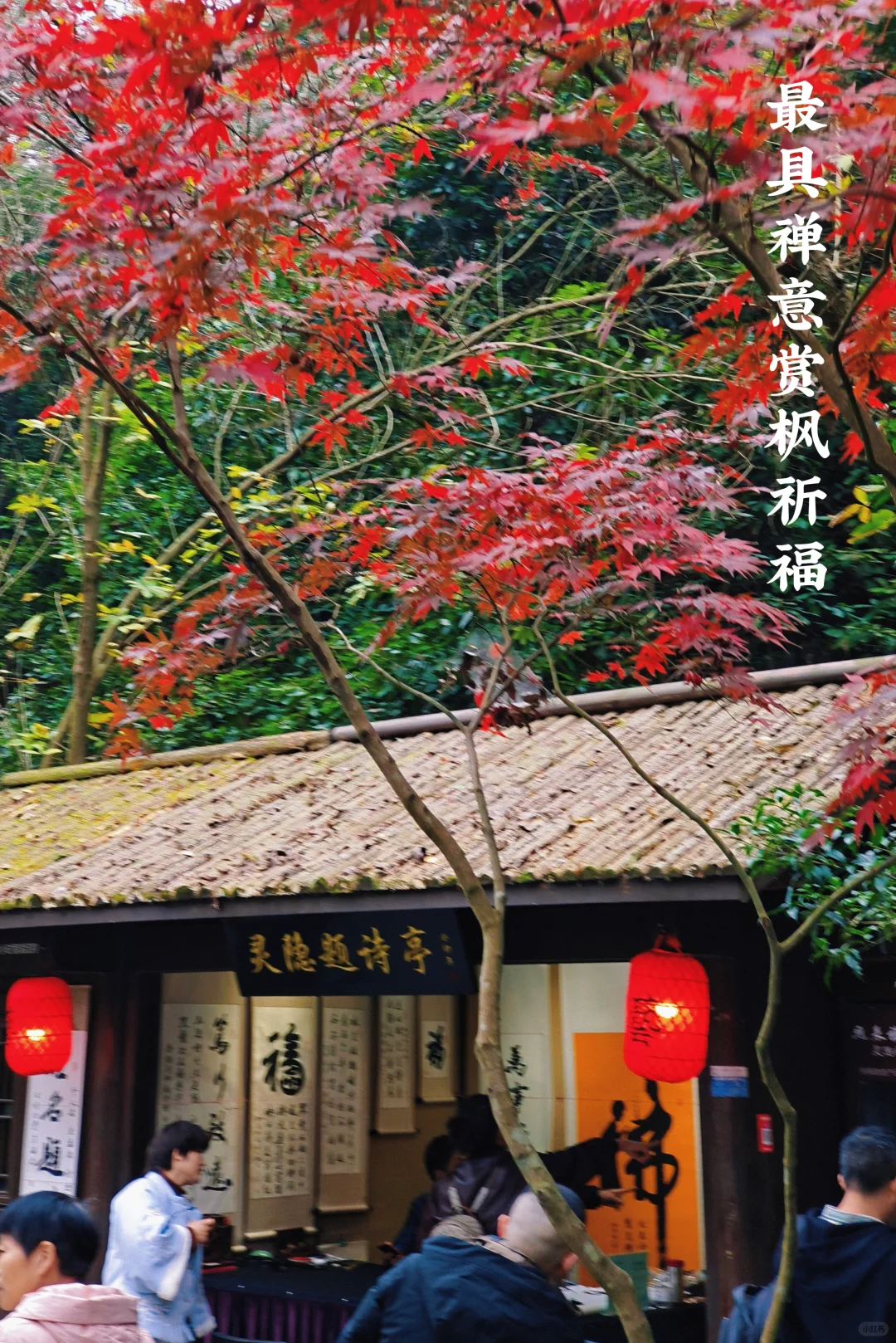 西湖灵隐法喜寺<禅意赏枫>攻略